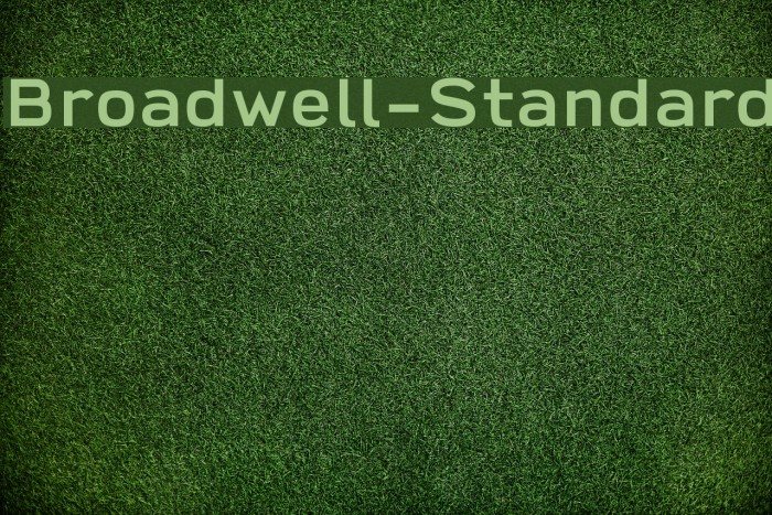 Broadwell-Standard Example 1