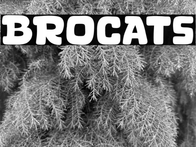 Brocats Font examples