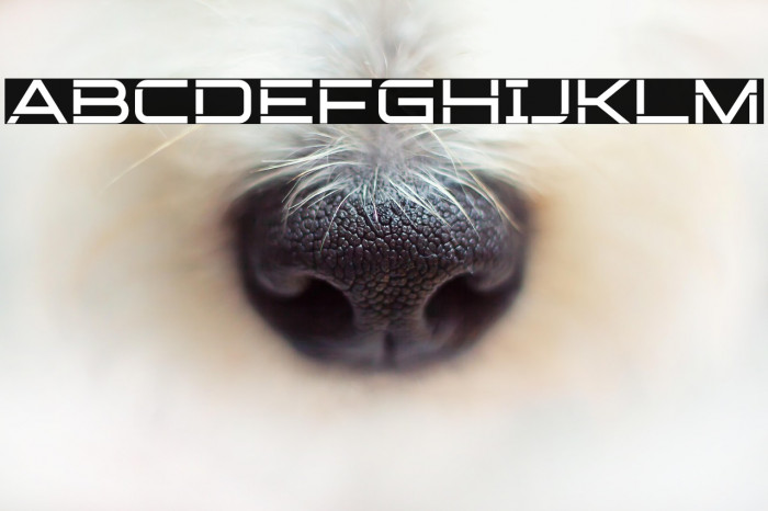 Broche Cut Example 3