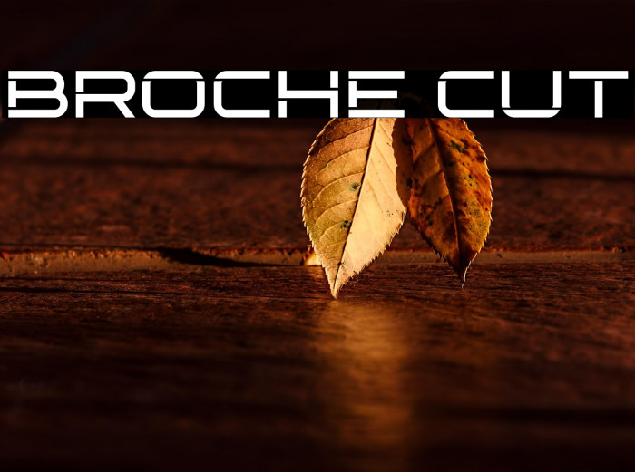 Broche Cut Example 1