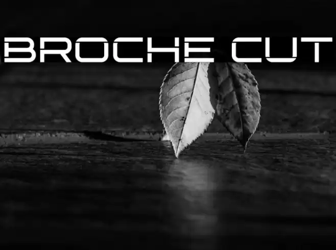 Broche Cut Font examples