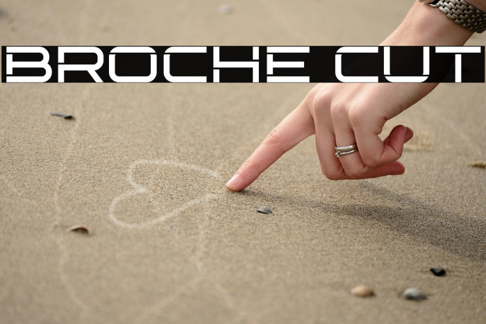 Broche Cut Example 2