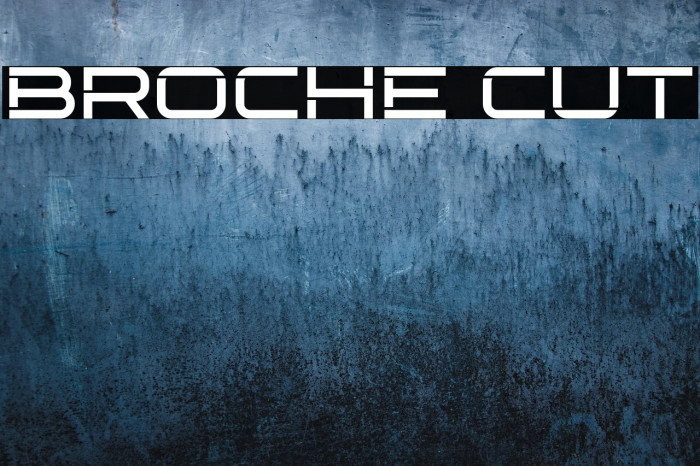 Broche Cut Example 3