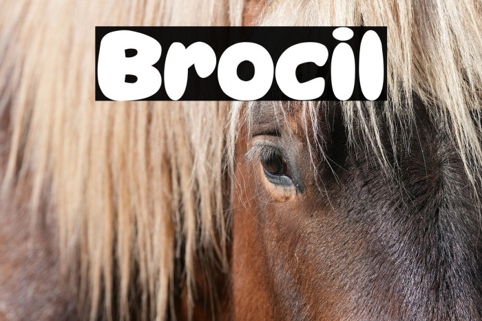 Brocil Example 3