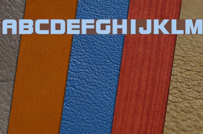 Brock Bold Font examples