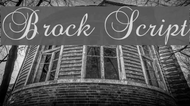 Brock Script Font examples