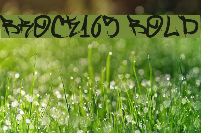 Brock165 Bold Font examples