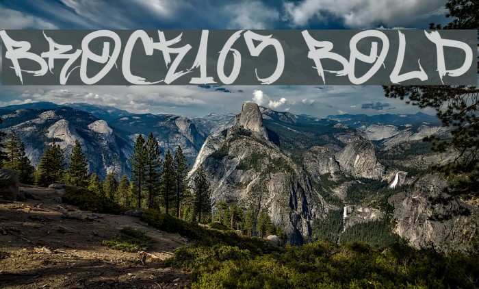 Brock165 Bold Font examples