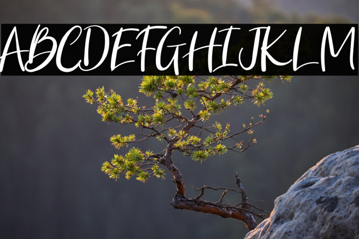 Brocke Jackson Example 2