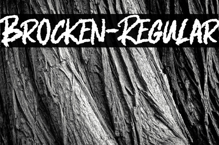 Brocken-Regular Example 3