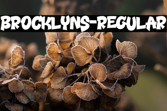 Brocklyns-Regular Example 3