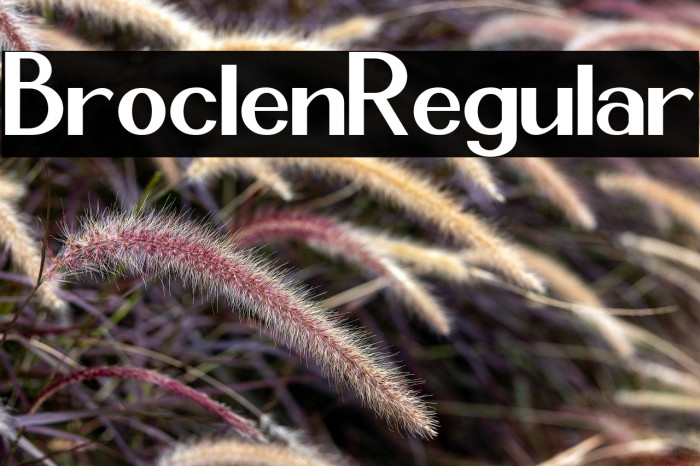 Broclen Regular Example 2