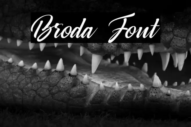 Broda Font examples