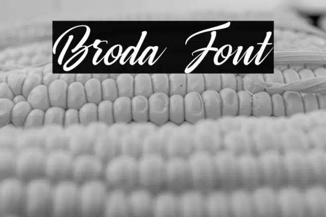 Broda Font examples