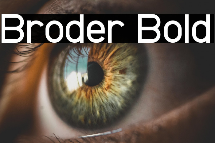 Broder Bold Example 1