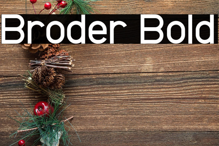 Broder Bold Example 3