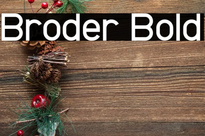 Broder Bold Example 3