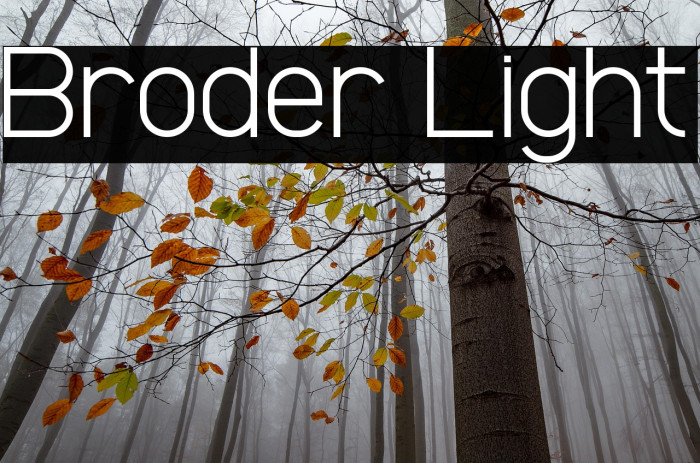 Broder Light Example 1