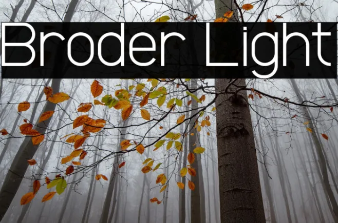 Broder Light Example 1