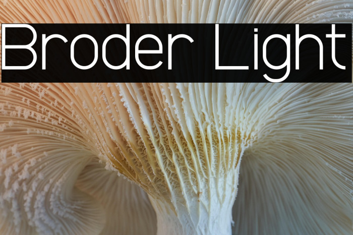 Broder Light Example 3