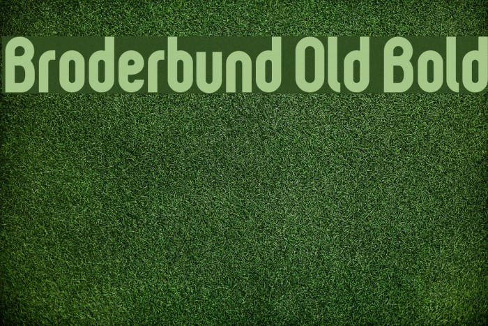Broderbund Old Bold Example 2