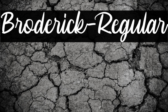 Broderick-Regular Example 1