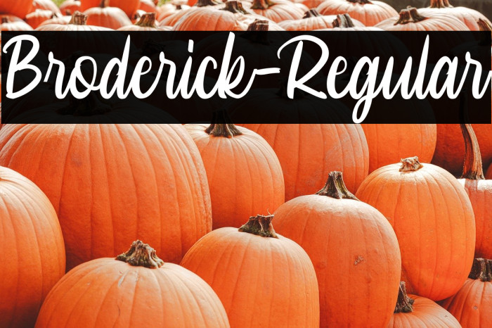 Broderick-Regular Example 2