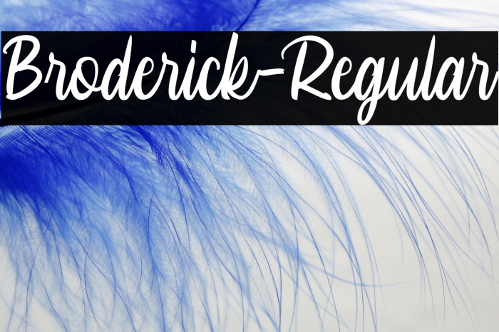 Broderick-Regular Example 3