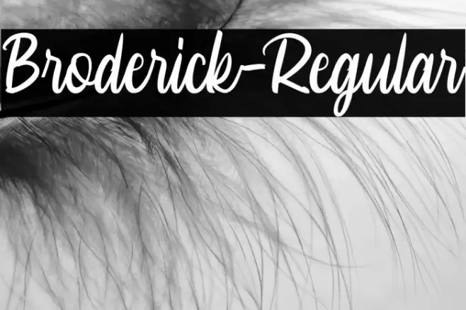 Broderick-Regular Font examples