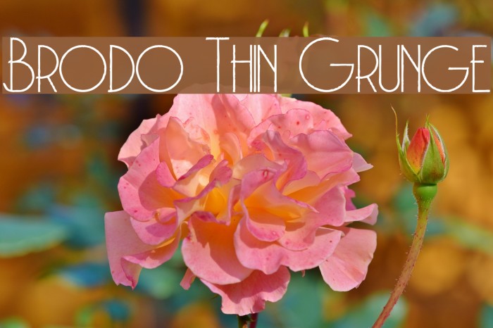 Brodo Thin Grunge Example 2