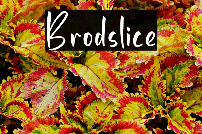 Brodslice Example 2