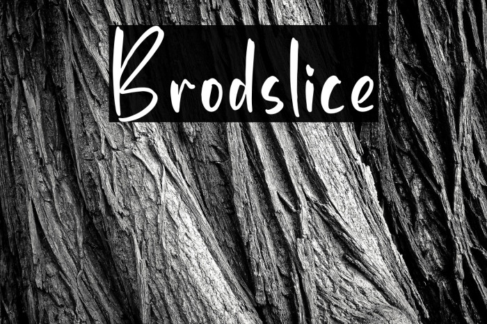 Brodslice Example 3