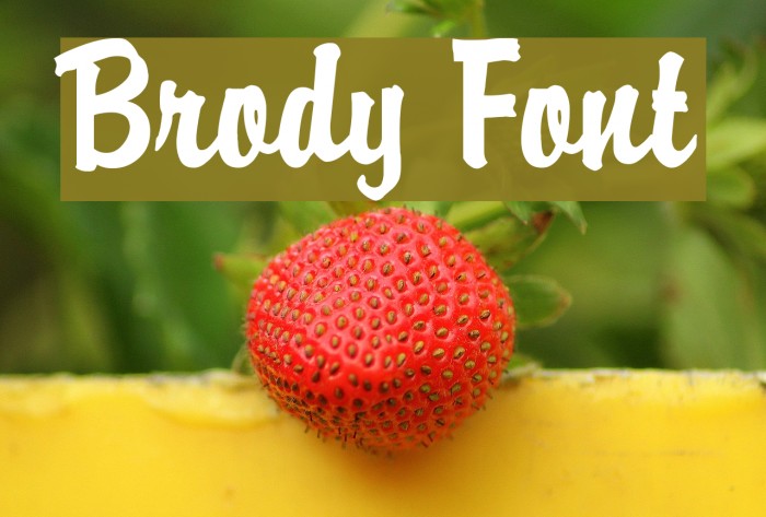 Brody Fonte examples