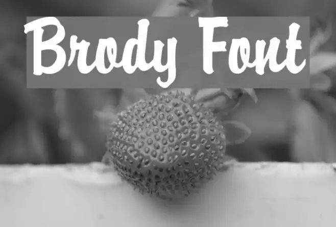 Brody Font examples