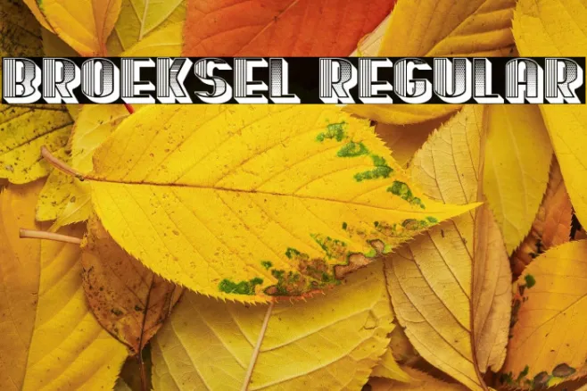 Broeksel Regular Example 1