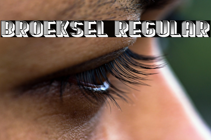 Broeksel Regular Example 2