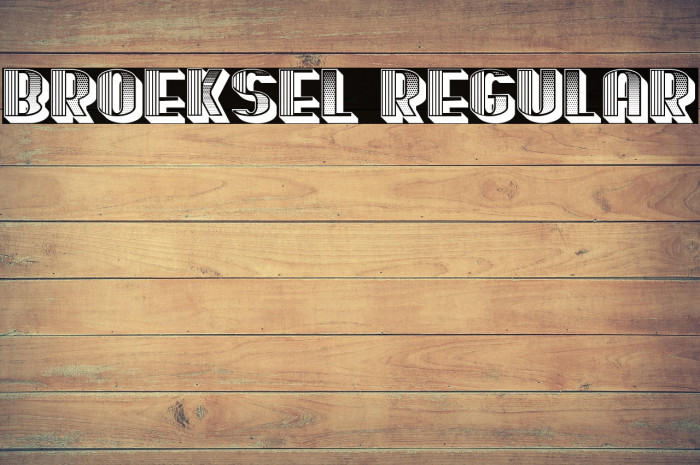 Broeksel Regular Example 3