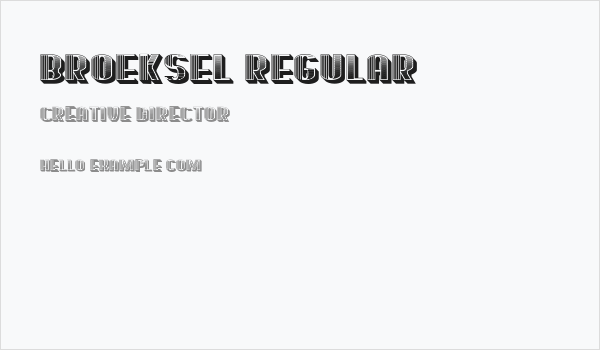 Broeksel Regular Business Card