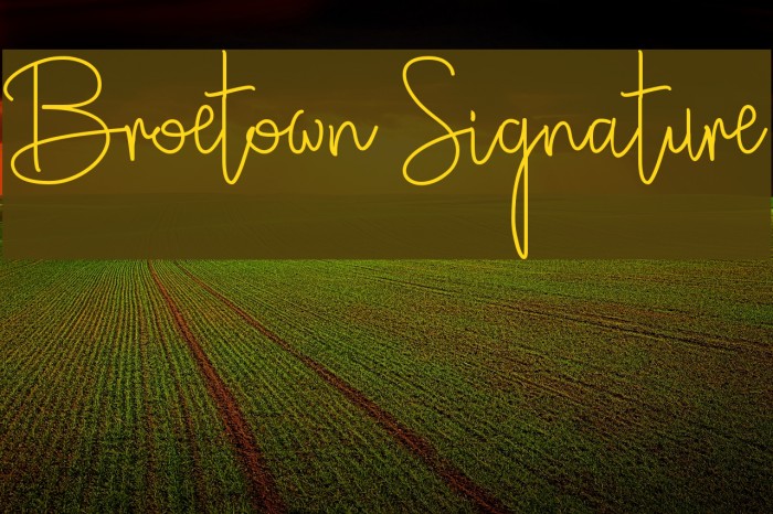 Broetown Signature Font examples