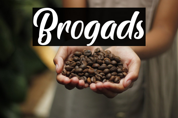Brogads Example 2