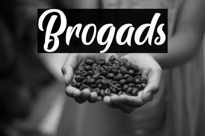 Brogads Font examples
