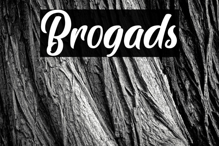 Brogads Example 3