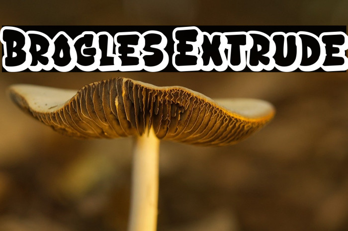 Brogles Extrude Example 3