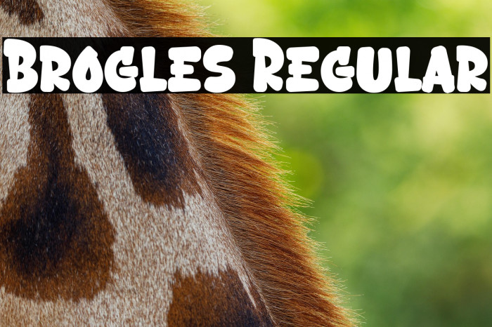 Brogles Regular Example 3