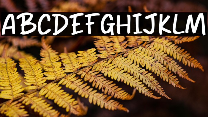 Broke Stone Example 2