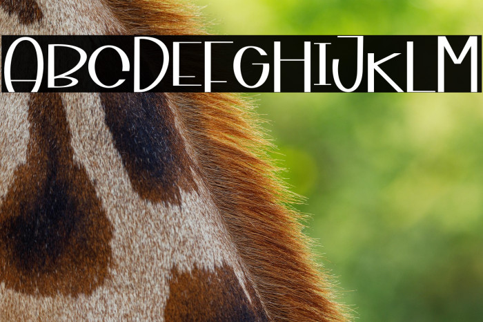 BrokefoldFunWide Example 3