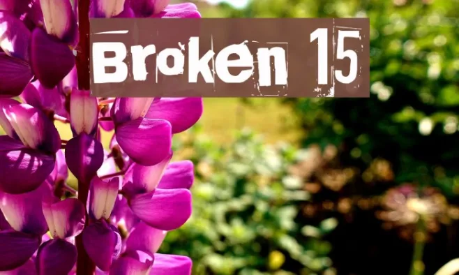 Broken 15 Example 1