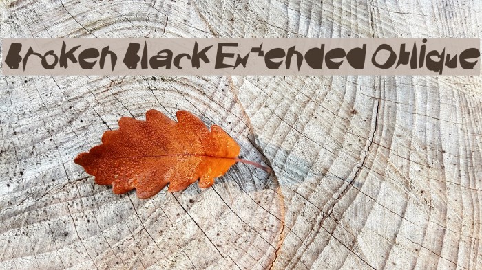 Broken Black Extended Oblique Example 3