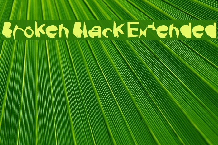 Broken Black Extended Font examples