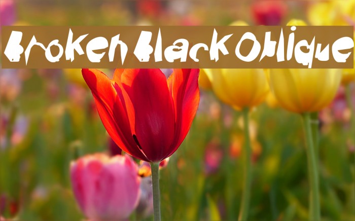Broken Black Oblique Font examples